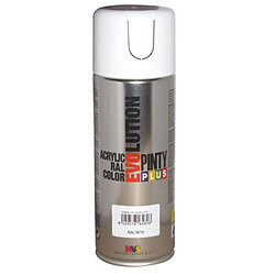 Bombe de peinture blanc ral9010 brillant - pinty 590 - NOVASOL SPRAY