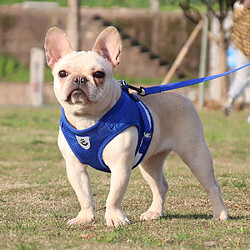 Equipement de transport pour chien