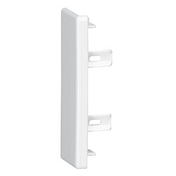 embout pour moulure - 60 x 20 mm - legrand dlplus 030290