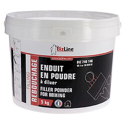 enduit de rebouchage - standard - en poudre - seau de 5 kg - bizline 740146