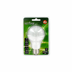 Nityam Ampoule LED Globe E27 - 15W