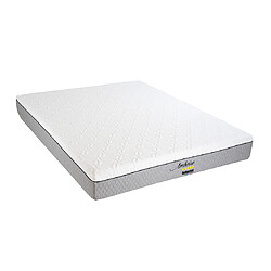 Bellecour Ensemble anti punaise Amboise Ensemble AMBOISE 140x200 cm | Matelas Mémoire de forme + Protège matelas anti punaise