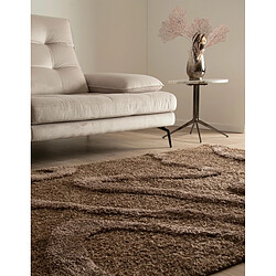 Acheter Hadorn Tapis shaggy 245x160 marron foncé Thun Arbor