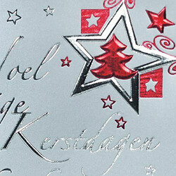 Avis Sigel DS362 Lot de 10 Cartes de Noël 2 volets et Enveloppes Motif Silver Star