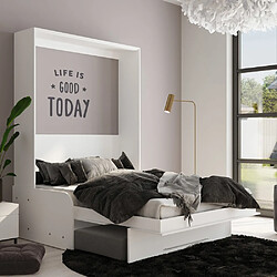 Acheter Inside 75 Armoire lit escamotable KOMPACT VIARDO SOFA canapé accoudoirs blanc mat tissu gris couchage 140*200 cm