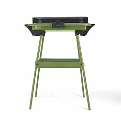 Avis Livoo Barbecue Electrique sur Pieds ou de Table Vert 2000W + Set de 4 accessoires pour barbecue