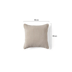 Bestmobilier Topaze - coussin - velours texturé - 40x40 cm pas cher