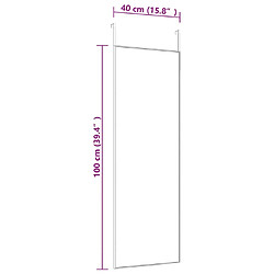 Acheter vidaXL Miroir de porte Doré 40x100 cm Verre et aluminium