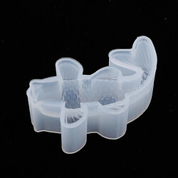 Avis loisirs creatifs Moule En Silicone De Poisson Koi