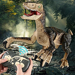 Shop Story SHOP-STORY - VELOCIRAPTOR BROWN : Dinosaure Télécommandé avec Lumières et Sons 