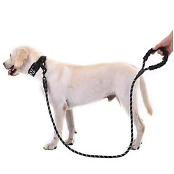 Avis Universal Collier pour chien de compagnie Fournitures pour chien de compagnie Laisse de chien ronde réfléchissante multicolore (noir)