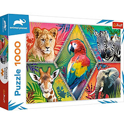 Trefl- Animaux Exotiques 1000 Pièces Château Pont Monuments DIY Divertissement Créatif Cadeau Amusement Puzzles Classiques pour Adultes et Enfants à partir de 12 Ans, 10671, Teile 