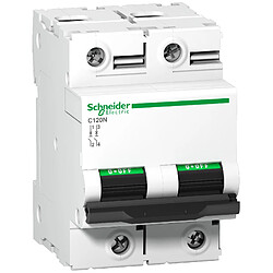 Schneider Electric disjoncteur - schneider c120n - 2 pôles - 80 ampères - courbe c - a9n18361