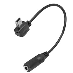 Avis Wewoo Pour GoPro HERO3 10pin mini USB à 3.5mm micro câble adaptateur