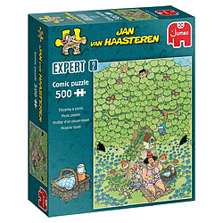 Jumbo- Expert 2-Enjoying a Picnic (500 Pieces) Jigsaw Puzzle, 20090, Multicolore