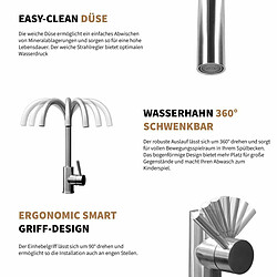 Rosentahl Rosenhahn & Söhne Föhr 200 Robinet de cuisine en acier inoxydable brossé (82SS01)