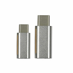 Paris Prix Lot de 2 Adaptateurs USB type C 2cm Gris