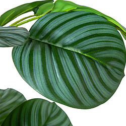 Avis Plante décorative Alexandra House Living Plastique Calathea 90 cm