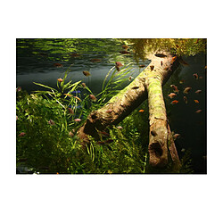 pvc aquarium adhésif fond autocollant poisson réservoir décor sous-marin bois l