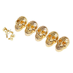 Acheter 5 Set Skull Screwback Screwback Studs Punk Rivers pour sacs Chaussures Leathercraft Gold