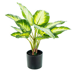 Plante décorative Alexandra House Living Plastique Aglaonema 50 cm