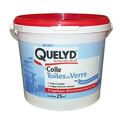 Quelyd - Colle Toiles de verre 5Kg - 30601681