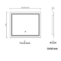 Acheter Miroir de salle de bain avec lumières Led 100x60cm (LxH)