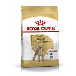 Royal Canin Race Poodle - Caniche Adult pas cher