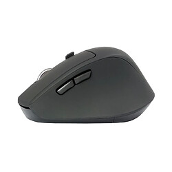 Conceptronic LORCAN02B Ergo mouse