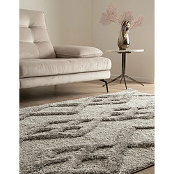 Avis Hadorn Tapis shaggy 305x240 gris Thun Tribus