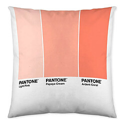 Pantone Housse de coussin Ombre B Réversible (50 x 50 cm)