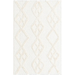 Hadorn Tapis shaggy 305x240 Blanc Thun Tribus 