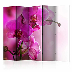 Paris Prix Paravent 5 Volets Pink Orchid II 172x225cm