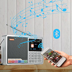 Acheter Universal Radio numérique FM stéréo/DAB radio multibande 2.4 TFT LCD écran couleur réveil 18650 LITHIUM ELECTROGRAMME