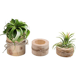 BESTA Support en bois pour plantes aériennes Plante-air en bois contenant 3 plante-air en bois Terrarium Holder Succulent Tea light Holder 