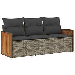 vidaXL Salon de jardin avec coussins 3 pcs gris résine tressée