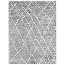 Hadorn Tapis shaggy 305x240 gris Lachen Fence 