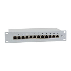 LogiLink Panneau de brassage 10' cat. 6A, 12 ports, gris ()