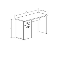 Pegane Table de bureau, meuble de bureau coloris Chêne cambrian/blanc - Longueur 120 x profondeur 49,8 x hauteur 72 cm