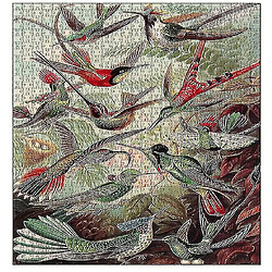 Universal Puzzle décompressé de 1000 pièces puzzle éducatif puzzle jouet, puzzle colibri