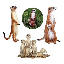 Acheter 3Pack Sauvage Zoo Animaux Simulation Mignon Petit Afrique Suricate Animal Modèles Figurines Figurine Décoration Collection Enfants Jouets