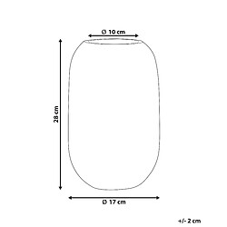 Avis Beliani Vase à fleurs KYRAKALI Verre 28 cm Transparent