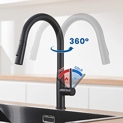 Acheter AURALUM MAX Robinet Cuisine Douchette,Mitigeur Cuisine avec Douchette, Robinetterie Cuisine avec Douchette Extractible Eau Froide/Chaude,Noir