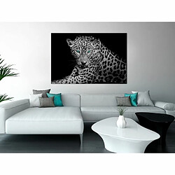 Paris Prix Tableau Imprimé Leopard Portrait Wide 60 x 90 cm