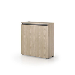 Kiamami Valentina ARMOIRE POLYVALENTE EFFET BOIS D'ORME 2 PORTES 