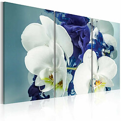 Paris Prix Tableau Imprimé Orchidées Chimériques 40 x 60 cm 