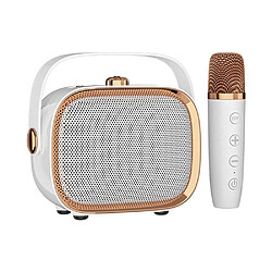 Yonis Microphone Sans Fil Haut-Parleur Bluetooth Portable Son HD Anti-Bruit pour Maison KTV Micro Haut-Parleur Bluetooth Portable TWS Anti-Bruit Qualité Son HD Blanc YONIS