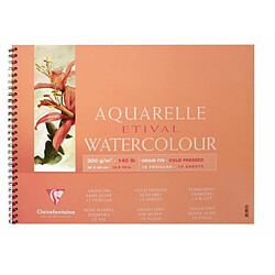 Clairefontaine 96070C Papier aquarelle Grain Fin 12 Feuilles Blanc