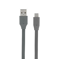 MOOOV Câble USB-A/USB-C plat data et charge gris sidéral 1 m