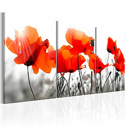 Paris Prix Tableau Imprimé Charming Poppies 60 x 120 cm 